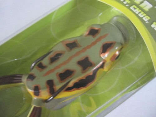 Esche river sea - sea, spittinwa